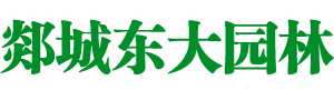 郯城东大园林绿化有限公司